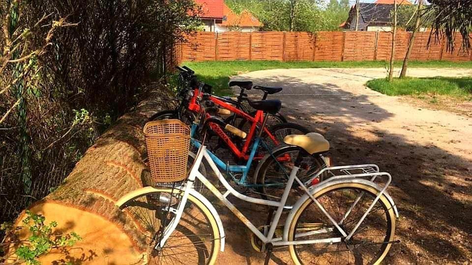Miodowy Zakatek Caloroczne Domki I Pokoje Przy Suntago, Deepspot, Pyszne Sniadania, Grill, Ognisko Мщонув Экстерьер фото