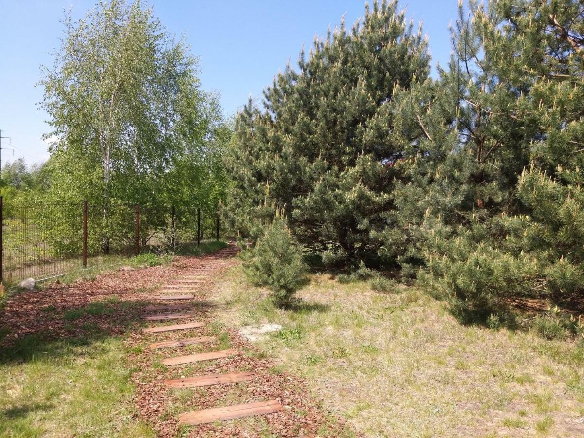 Miodowy Zakatek Caloroczne Domki I Pokoje Przy Suntago, Deepspot, Pyszne Sniadania, Grill, Ognisko Мщонув Экстерьер фото